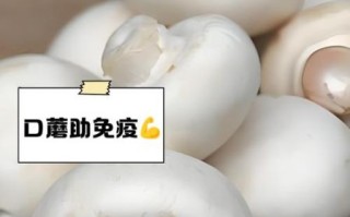 口蘑孕妇可以吃吗_孕妇吃口蘑注意事项