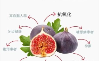 孕妇一天吃几个无花果_无花果对孕妇的好处