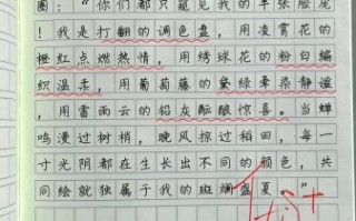 夏天怎么写作文_夏天作文素材有哪些