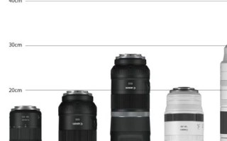 佳能良心镜头推荐_哪些型号值得买