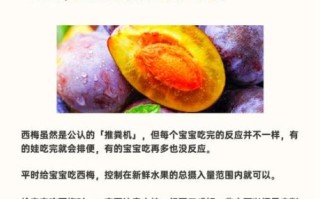 孕妇可以吃西梅吗_西梅对胎儿有什么好处