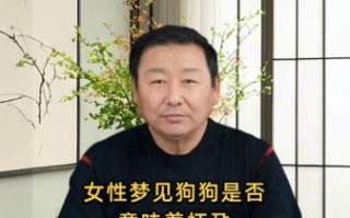 孕妇梦见狗追着自己跑_孕妇梦见狗追是胎梦吗