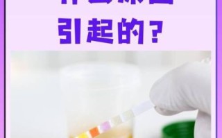 孕妇尿检细菌高是怎么回事_对胎儿有影响吗