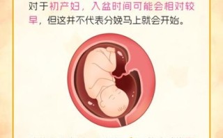 胎儿多少周入盆_入盆后多久会生