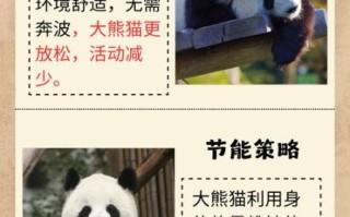 熊猫为什么被视为国宝_熊猫的生活习性有哪些