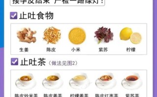 孕妇吃什么吐什么怎么办_孕早期吃什么不吐