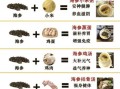 孕妇吃海参的做法_孕妇吃海参的注意事项