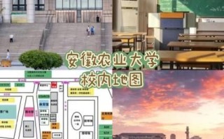 安徽农业大学地址在哪_怎么去最方便