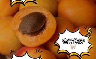 孕妇一天最多吃几个杏_杏子对胎儿有影响吗