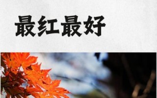 枫叶为什么变红_枫叶几月最红
