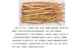 孕妇可以吃党参吗_党参对胎儿有影响吗