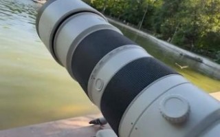 600mm镜头能拍多远_600mm镜头拍摄距离