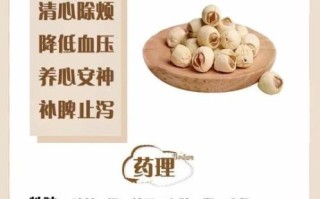 孕妇吃莲子对胎儿好吗_莲子一天吃多少粒合适