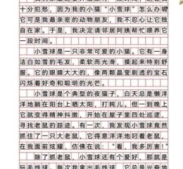 我的动物朋友作文怎么写_写动物作文的万能开头