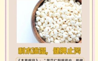 孕妇可以吃薏仁吗_薏仁米孕期禁忌