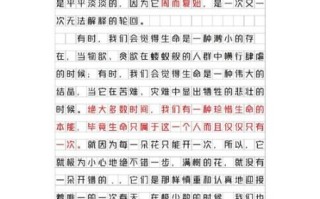 什么是美的作文_如何写美的作文