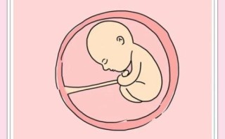 孕妇不睡觉胎儿会睡吗_胎儿睡眠规律