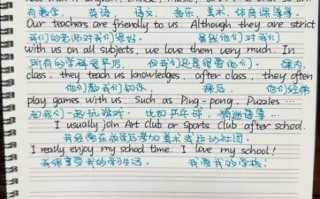 my_school_essay_example