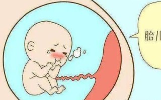 胎儿缺氧孕妇会有什么反应_胎儿缺氧孕妇症状表现