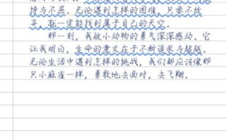 为什么这件事让我感动_如何写出触动人心的作文