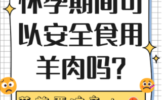 孕妇可以吃羊肉吗_孕妇吃羊肉对胎儿好吗