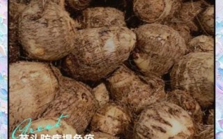 白眼开芋孕妇能吃吗_白眼开芋对孕妇有什么好处