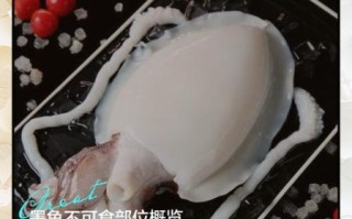 墨鱼孕妇能吃吗_孕期吃墨鱼注意事项