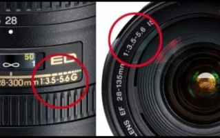 单反打鸟镜头推荐_如何选焦距