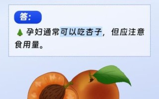 孕妇能吃杏吗_孕妇吃杏的注意事项