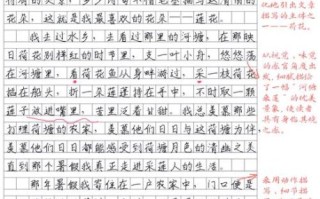 如何写好初中作文_初中作文提分技巧