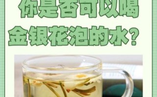 金银花泡水孕妇可以喝吗_孕妇喝金银花的禁忌