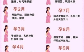 十月孕妇的肚子有多大_怀孕十个月肚子变化图