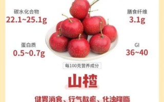 孕妇可以吃山楂吗_孕早期吃山楂安全吗
