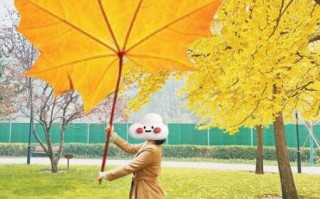 枫叶镜头适合拍什么_枫叶镜头怎么选