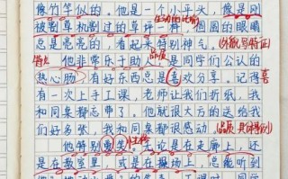 小学生三年级作文怎么写_三年级作文不会写怎么办