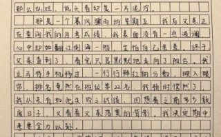 不虚此行作文怎么写_不虚此行作文素材有哪些