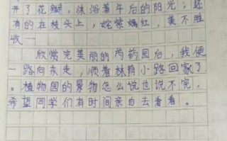 四年级下册第一单元作文怎么写_如何写出春游趣事