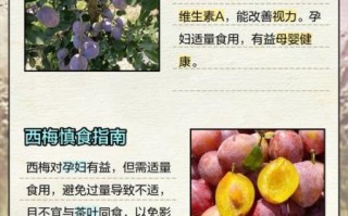 孕妇能吃西梅吗_西梅对孕妇的好处与禁忌