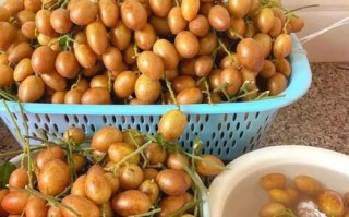 孕妇可以吃黄皮果吗_黄皮果对胎儿有影响吗