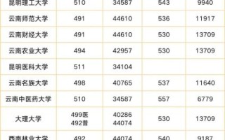 云南省大学排名前十有哪些_云南高校录取分数线是多少