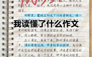 小学生作文怎么写_我读懂了什么作文