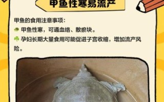 孕妇吃甲鱼对胎儿有影响吗_孕期能不能吃甲鱼