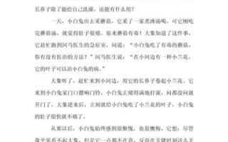 小白兔作文怎么写_小白兔作文400字范文