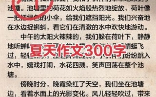 夏天作文怎么写_夏天作文300字如何扩展
