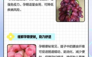 孕妇可以吃提子吗_怀孕吃提子对胎儿好吗