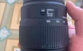 佳能70-300镜头值得买吗_佳能70-300镜头适合拍什么