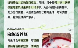 孕妇吃乌鱼有什么好处_乌鱼汤适合孕妇喝吗