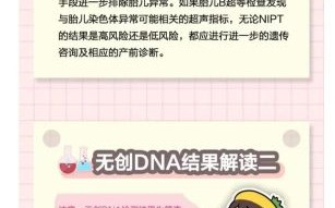 孕妇无创检查怎么做_无创DNA检查流程