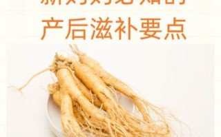 孕妇能吃人参吗_孕妇吃人参的注意事项