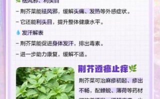 孕妇能吃荆芥菜吗_荆芥菜对孕妇的影响
